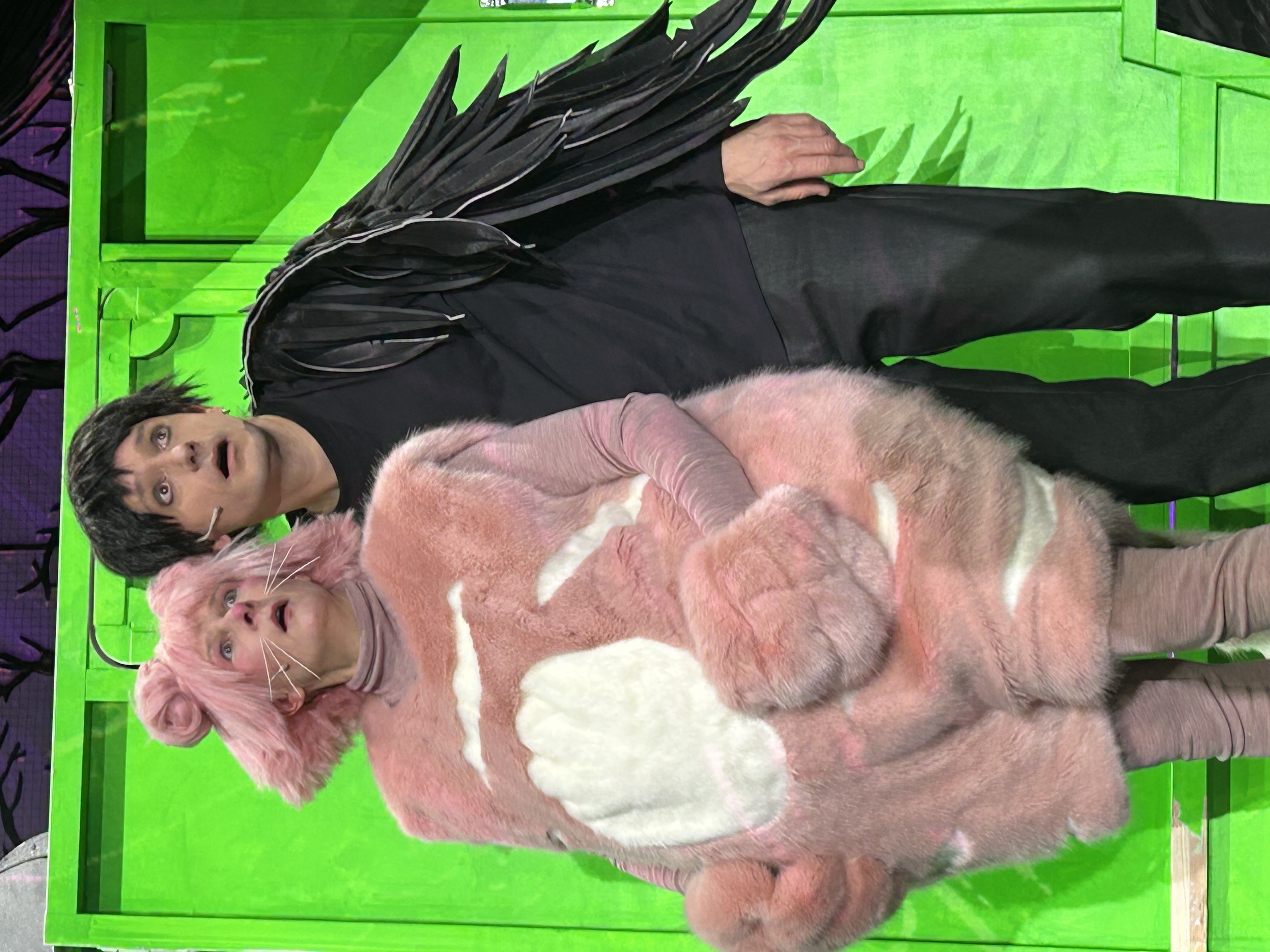 Der Kater auf dem Baum